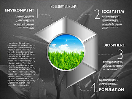 Podia met foto ecologie diagram, Dia 12, 01882, Stage diagrams — PoweredTemplate.com