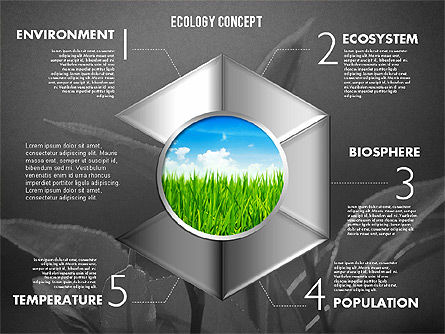 사진 생태학 다이어그램이있는 단계, 슬라이드 13, 01882, 단계 도표 — PoweredTemplate.com