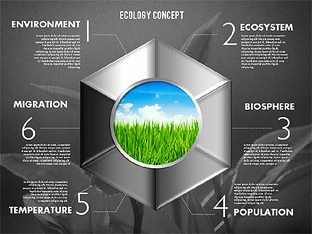 Podia met foto ecologie diagram, Dia 14, 01882, Stage diagrams — PoweredTemplate.com