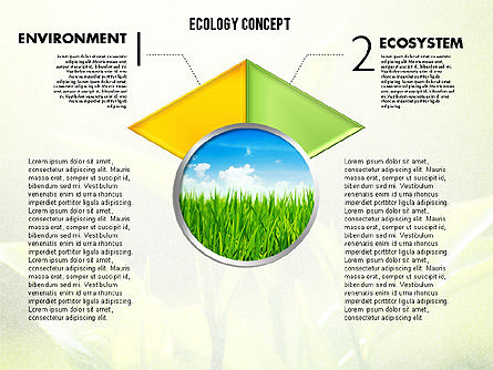 Etapas con el diagrama de la ecología de la foto, Diapositiva 3, 01882, Diagramas de la etapa — PoweredTemplate.com