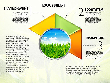 写真エコロジーダイアグラム付きステージ, スライド 4, 01882, 段階図 — PoweredTemplate.com