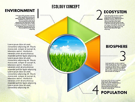 Etapas con el diagrama de la ecología de la foto, Diapositiva 5, 01882, Diagramas de la etapa — PoweredTemplate.com