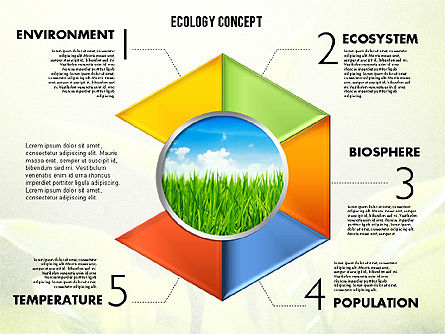 Podia met foto ecologie diagram, Dia 6, 01882, Stage diagrams — PoweredTemplate.com