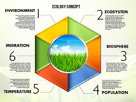 Podia met foto ecologie diagram, Dia 7, 01882, Stage diagrams — PoweredTemplate.com