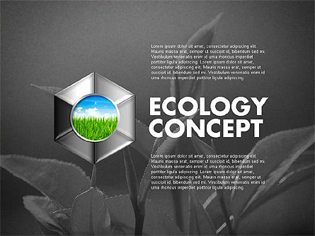 Podia met foto ecologie diagram, Dia 8, 01882, Stage diagrams — PoweredTemplate.com