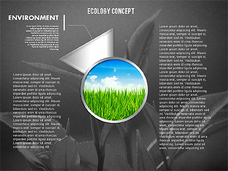 写真エコロジーダイアグラム付きステージ, スライド 9, 01882, 段階図 — PoweredTemplate.com