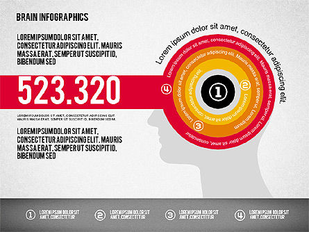 Gehirn-Infografiken, Folie 5, 02125, Ablaufdiagramme — PoweredTemplate.com