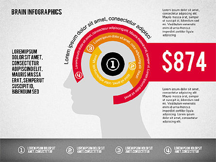 Brain infographics, Dia 7, 02125, Stage diagrams — PoweredTemplate.com