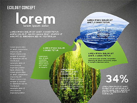 Ecologie silhouetten presentatiesjabloon, Dia 13, 02484, Presentatie Templates — PoweredTemplate.com