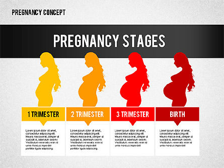 Concepto de Presentación del Embarazo, Plantilla de PowerPoint, 02608, Diagramas y gráficos médicos — PoweredTemplate.com