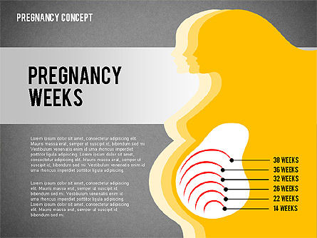 Concetto di presentazione della gravidanza, Slide 14, 02608, Diagrammi e Grafici Medici — PoweredTemplate.com