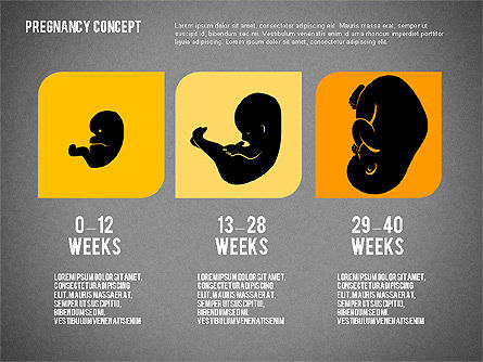 妊娠介绍概念, 幻灯片 16, 02608, 医疗图和图表 — PoweredTemplate.com