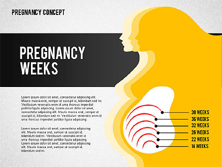 Concepto de apresentação da gravidez, Deslizar 6, 02608, Diagramas e Gráficos Médicos — PoweredTemplate.com