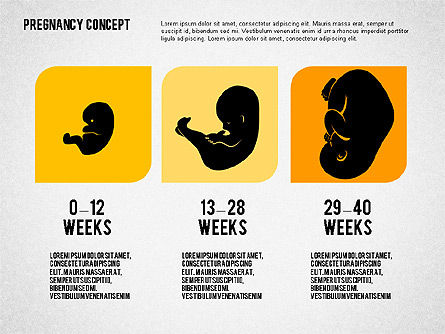 Concepto de apresentação da gravidez, Deslizar 8, 02608, Diagramas e Gráficos Médicos — PoweredTemplate.com