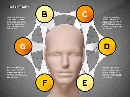 Concept de réseau humain, Diapositive 11, 02627, Graphiques organisationnels — PoweredTemplate.com