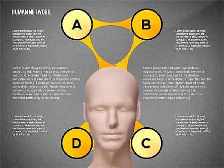 Concept de réseau humain, Diapositive 16, 02627, Graphiques organisationnels — PoweredTemplate.com