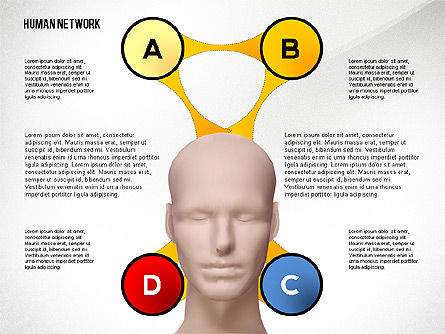 인간 네트워크 개념, 슬라이드 8, 02627, 조직도 — PoweredTemplate.com
