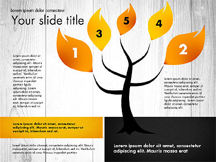 Stage Diagram with Tree, PowerPoint Template, 02778, Stage Diagrams — PoweredTemplate.com