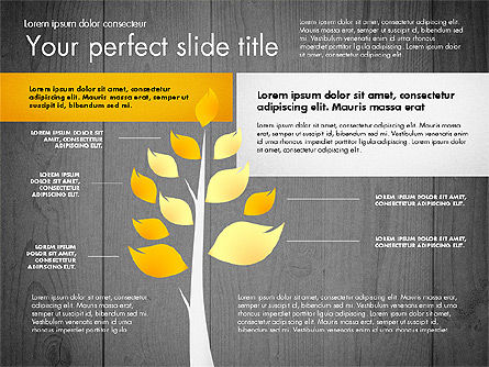 Schéma de scène avec arbre, Diapositive 14, 02778, Schémas d'étapes — PoweredTemplate.com