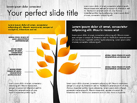 Schéma de scène avec arbre, Diapositive 6, 02778, Schémas d'étapes — PoweredTemplate.com