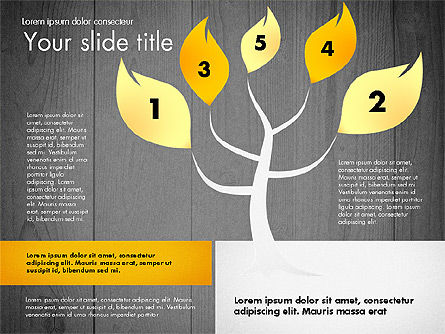 Stage diagrama com árvore, Deslizar 9, 02778, Diagramas de Etapas — PoweredTemplate.com