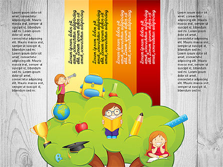 Opções com árvore de educação, Deslizar 8, 02795, Gráficos e Diagramas de Educação — PoweredTemplate.com