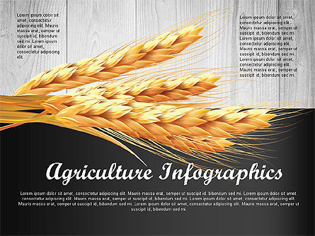 Landbouw infographics template, PowerPoint-sjabloon, 02848, Infographics — PoweredTemplate.com