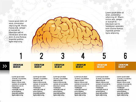 두뇌 프로세스 및 옵션 개념, 파워 포인트 템플릿, 02887, 의학 도표 및 차트 — PoweredTemplate.com