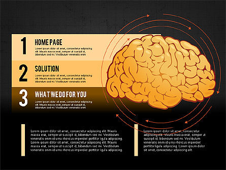 두뇌 프로세스 및 옵션 개념, 슬라이드 10, 02887, 의학 도표 및 차트 — PoweredTemplate.com