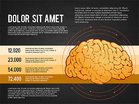 脳のプロセスとオプションの概念, スライド 12, 02887, 医療用図＆グラフ — PoweredTemplate.com