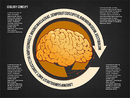 大脑流程和选项概念, 幻灯片 16, 02887, 医疗图和图表 — PoweredTemplate.com