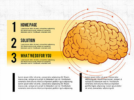 大脑流程和选项概念, 幻灯片 2, 02887, 医疗图和图表 — PoweredTemplate.com