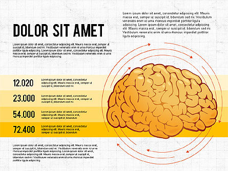脳のプロセスとオプションの概念, スライド 4, 02887, 医療用図＆グラフ — PoweredTemplate.com