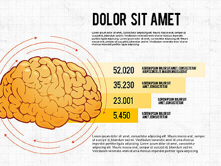 Cervello processi e opzioni concetto, Slide 6, 02887, Diagrammi e Grafici Medici — PoweredTemplate.com