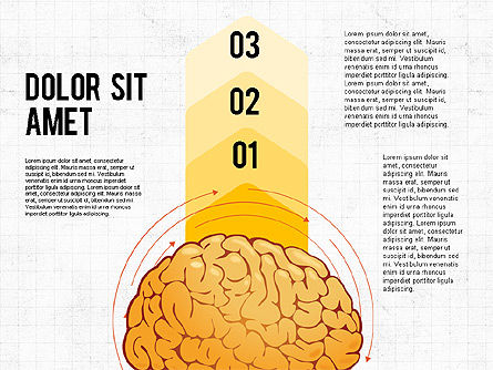 Cervello processi e opzioni concetto, Slide 7, 02887, Diagrammi e Grafici Medici — PoweredTemplate.com