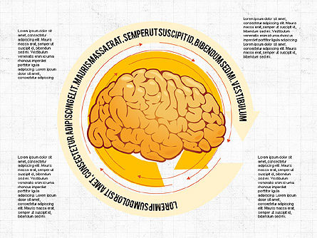 Gehirnprozesse und Optionen Konzept, Folie 8, 02887, Medizinische Diagramme und Charts — PoweredTemplate.com