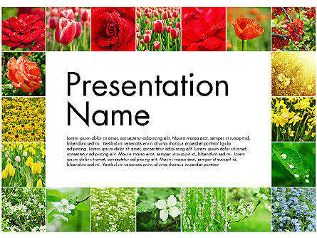 花でデータ駆動のスライド, PowerPointテンプレート, 03305, データベースの図＆グラフ — PoweredTemplate.com