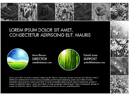 Diapositives tirées par des données avec des fleurs, Diapositive 15, 03305, Schémas, graphiques de données — PoweredTemplate.com