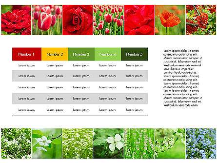 꽃이있는 데이터 기반 슬라이드, 슬라이드 3, 03305, 데이터 주도형 도표 및 차트 — PoweredTemplate.com
