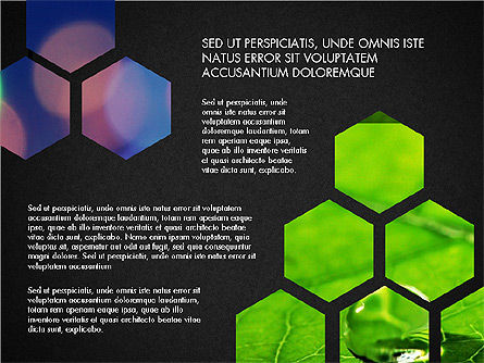 Ecology Infographic Presentation, Slide 14, 03486, Presentation Templates — PoweredTemplate.com