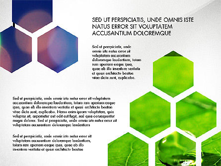 エコロジーインフォグラフィックプレゼンテーション, スライド 6, 03486, プレゼンテーションテンプレート — PoweredTemplate.com