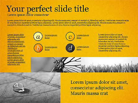 Earth Day, Slide 11, 03695, Presentation Templates — PoweredTemplate.com