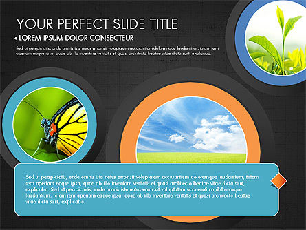 Fasi circolari, Slide 16, 03756, Grafici a Torta — PoweredTemplate.com