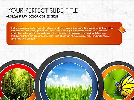 Etapas circulares, Diapositiva 4, 03756, Gráficos circulares — PoweredTemplate.com