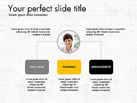 Organigrammi, Slide 5, 03789, Grafici Organizzativi — PoweredTemplate.com