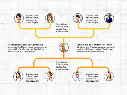 Company Organizational Chart, 03800, Organizational Charts — PoweredTemplate.com