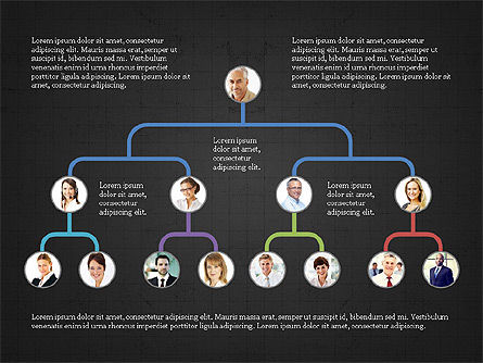Company Organizational Chart, Slide 14, 03800, Organizational Charts — PoweredTemplate.com