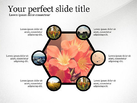 Manchas y Conexiones, Diapositiva 4, 03805, Plantillas de presentación — PoweredTemplate.com