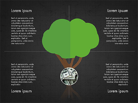 Concept de présentation des investissements, Diapositive 13, 03806, Modèles de présentations — PoweredTemplate.com
