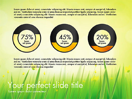 Grünes Grasbericht, Folie 10, 03807, Datengetriebene Diagramme und Charts — PoweredTemplate.com